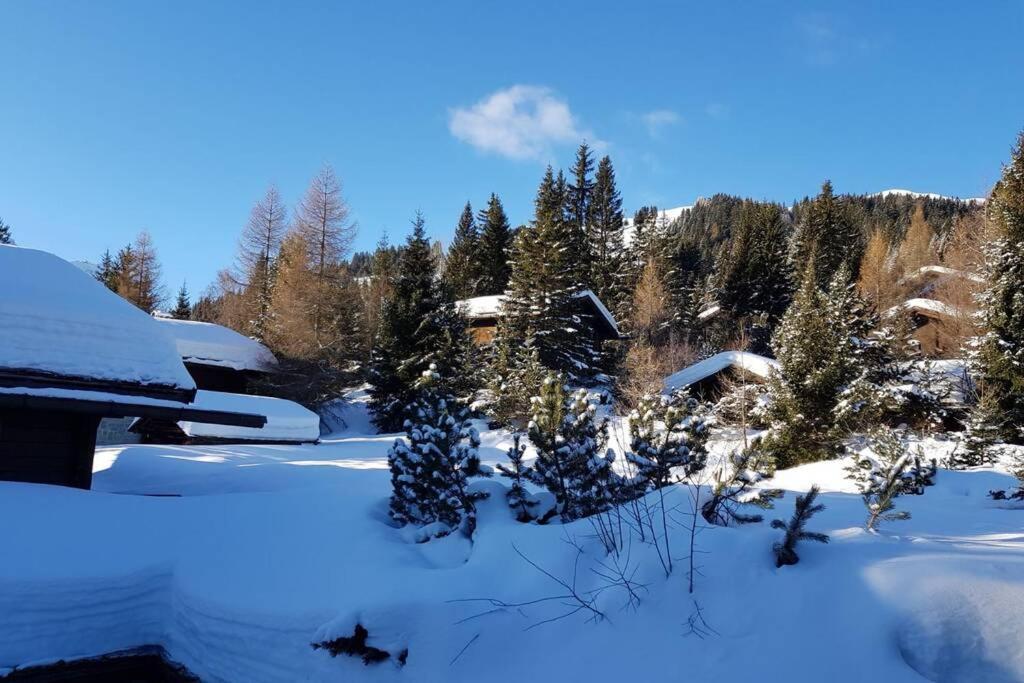 Chalet Wulli In Der Naehe Der Skianlagen Savognin Exterior photo